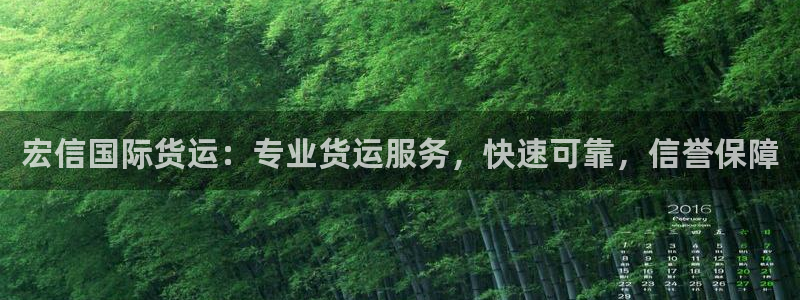 尊龙凯时出款：宏信国际货运：专业货运服务，快速可靠，信誉