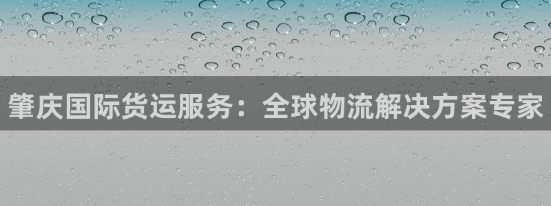 尊龙官网免费下载安装：肇庆国际货运服务：全球物流解决方案