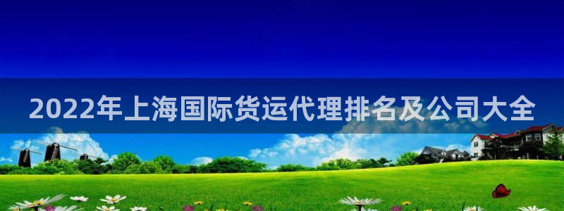 尊龙AG旗舰厅官网：2022年上海国际货运代理排名及公司