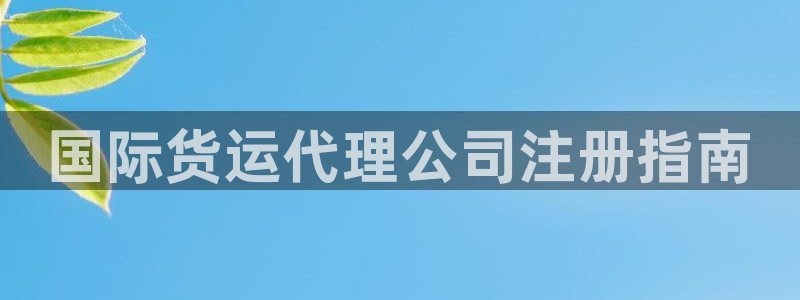 尊龙凯时取款有要求吗：国际货运代理公司注册指南