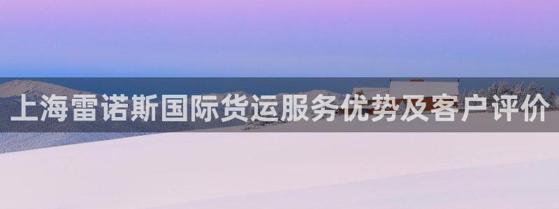 尊龙凯时取款24小时不到账：上海雷诺斯国际货运服务优势及