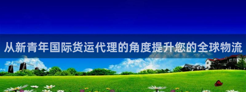 尊龙网站登录：从新青年国际货运代理的角度提升您的全球物流