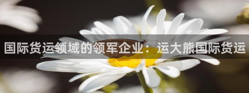 尊龙凯时法充十万返现多少